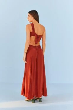 Farm Rio Brown Maxi Dress 9 Farm Rio Brown Maxi Dress -Modern Dress World 306899 04